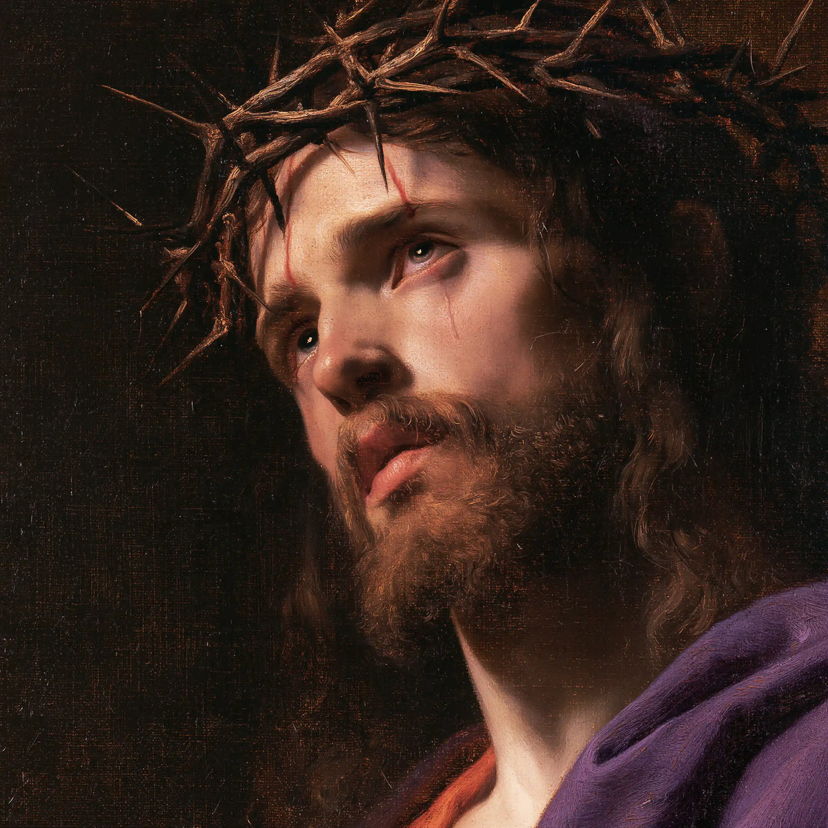 Jesus Crowned with Thorns — Sorrow in Profile against Quiet Black